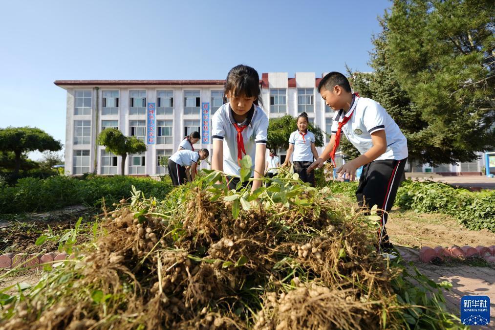 六九游戏李逵捕鱼